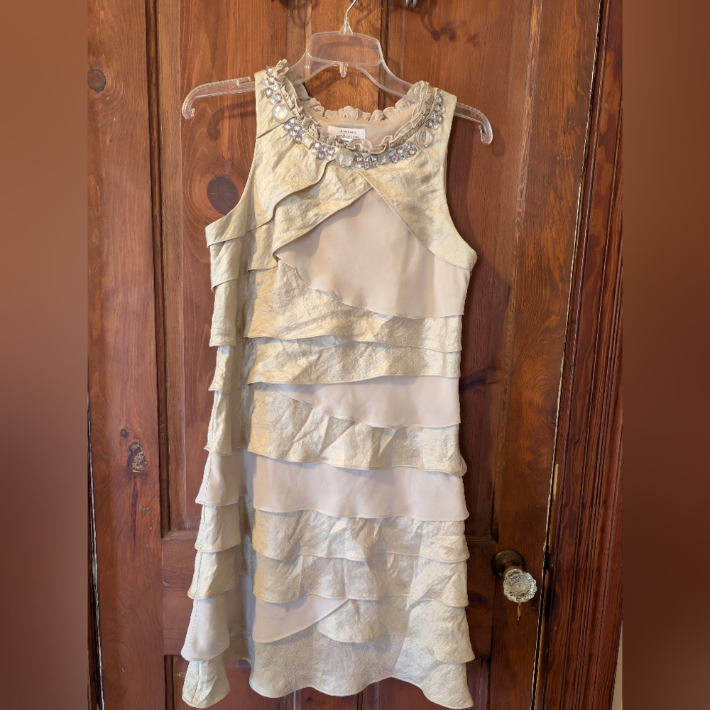 Dressbarn Size 10